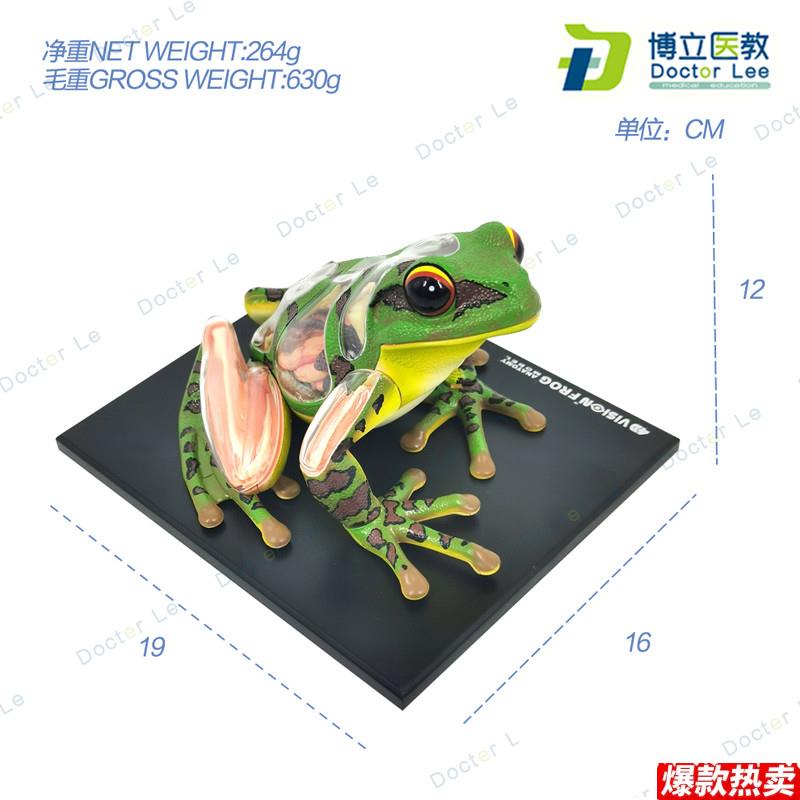 4DMastear青蛙标本解剖模型内脏骨骼拼装学生科普实验器材教具