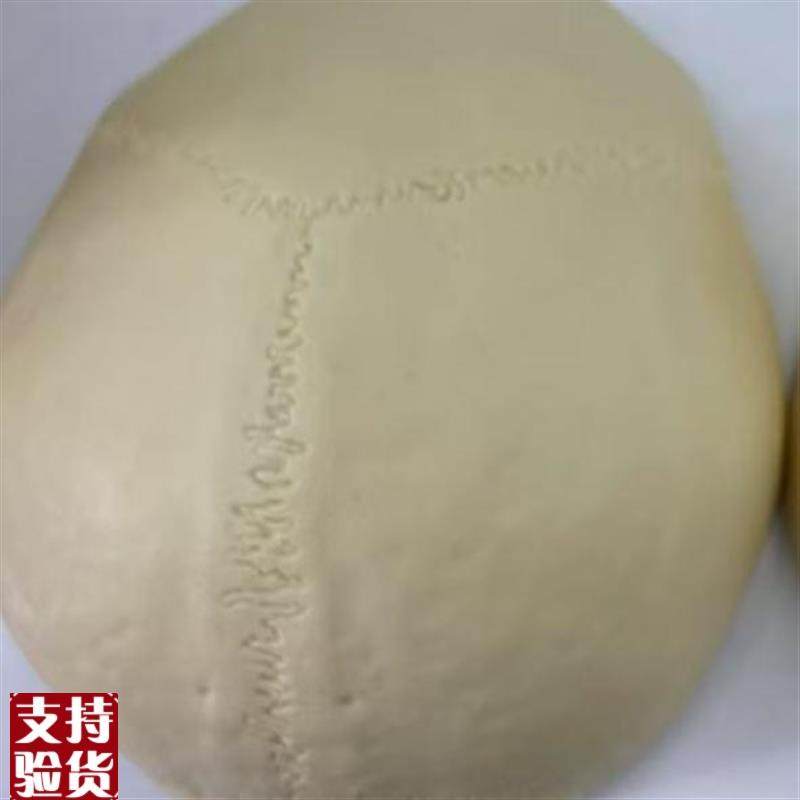 颐诺ENOViO仿真头盖骨模型树脂材质人体等比大小,文具电教/文化用品/商务用品,教学标本/模型,淘宝优惠券,粉丝福利购,淘宝优惠卷