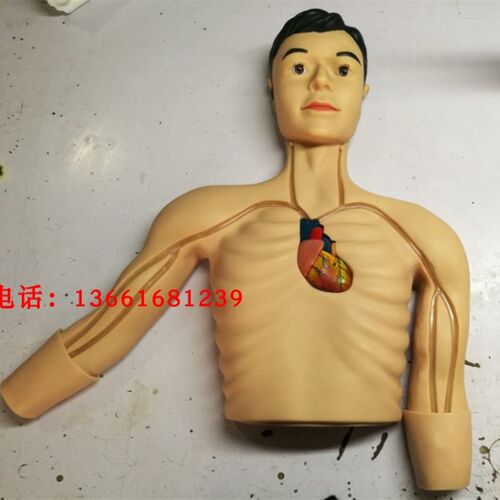 PICC介f入训练模型 中心静脉穿刺外周静脉穿刺模型