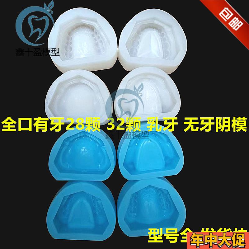 牙科有牙阴模 无k牙颌阴模 排牙基托模具 制标准石膏牙列牙齿模型