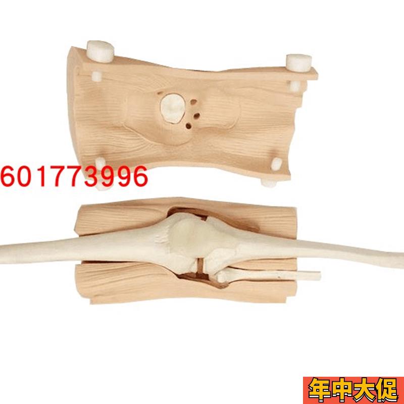 膝关节镜检查模型  膝关节镜手术T检查练习模型