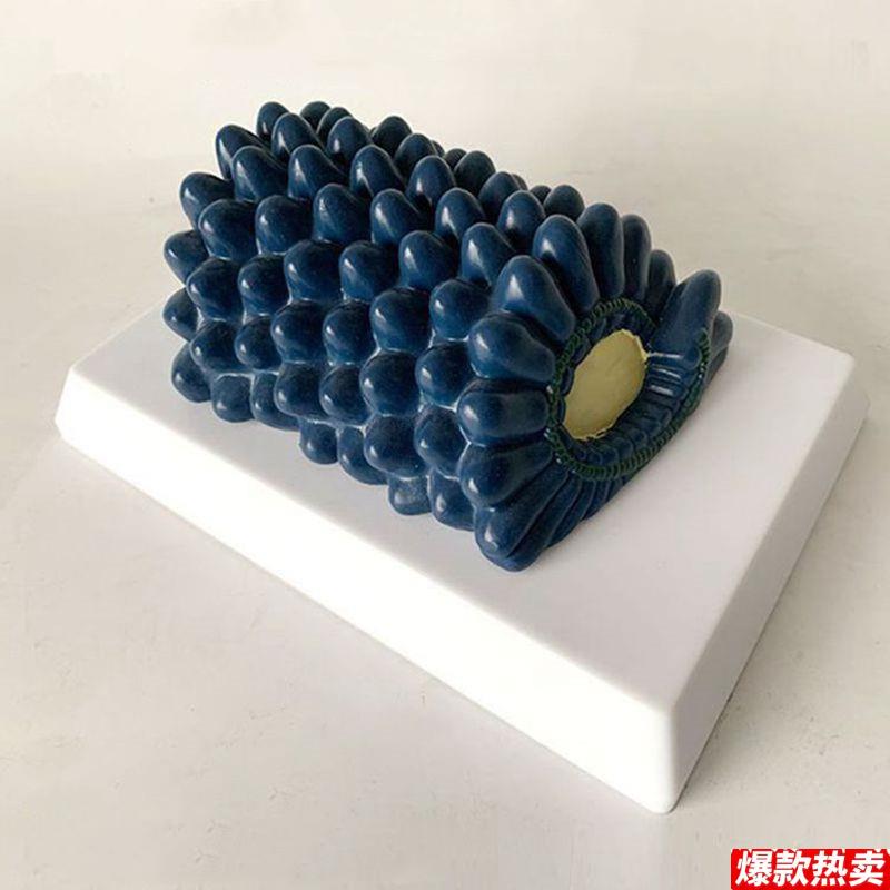 杆状病毒模型b腺病毒冠状病毒噬菌体中学生物课教具医用展示