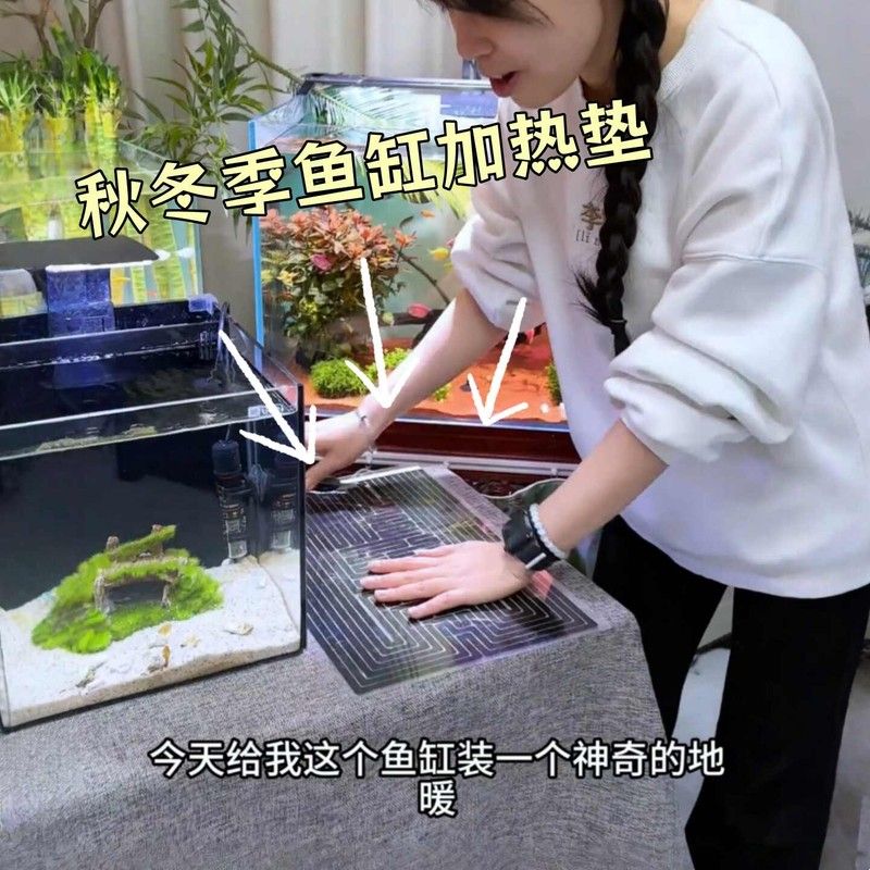 鱼缸加热垫家用恒温带温控宠爬专用保温垫斗鱼小型石墨烯加温垫子