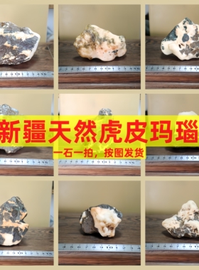 新疆戈壁石天然黑白花玛瑙原石