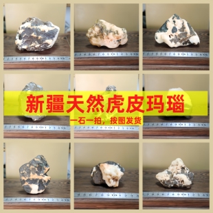 新疆戈壁石天然黑白花玛瑙原石奇石风凌石办公桌鱼缸造景盆景配石