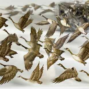 手帐分装胶带大雁zero大鸟南飞动物古风PET素材账流麻贴纸咕卡