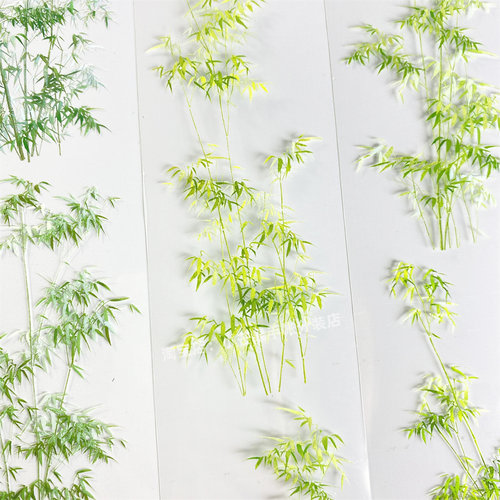 手帐分装胶带绿竹zero四季竹叶百搭古风PET素材账流麻贴纸咕卡