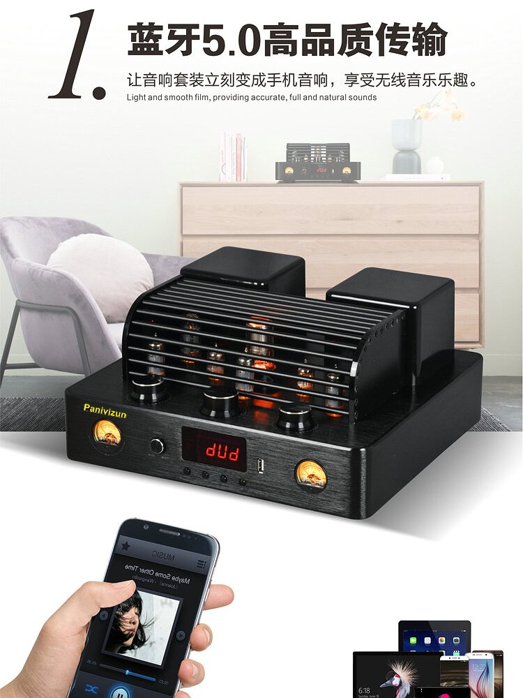 Bile amplifier home front gallbladder rear stone HIFI electronic tube high power amplifier speaker set