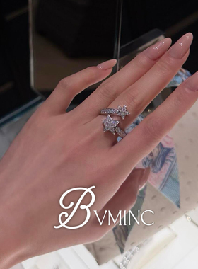 bvminc  大小彗星戒指 银