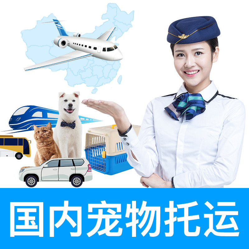 宠物托运服务火车运输全国狗猫邮寄广州北京国际猫咪空运快递狗狗