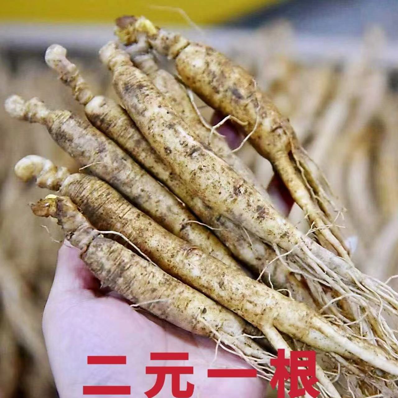 长白山新鲜人参 东北特产煲汤 泡酒 （单支10-15克）参农自产自销