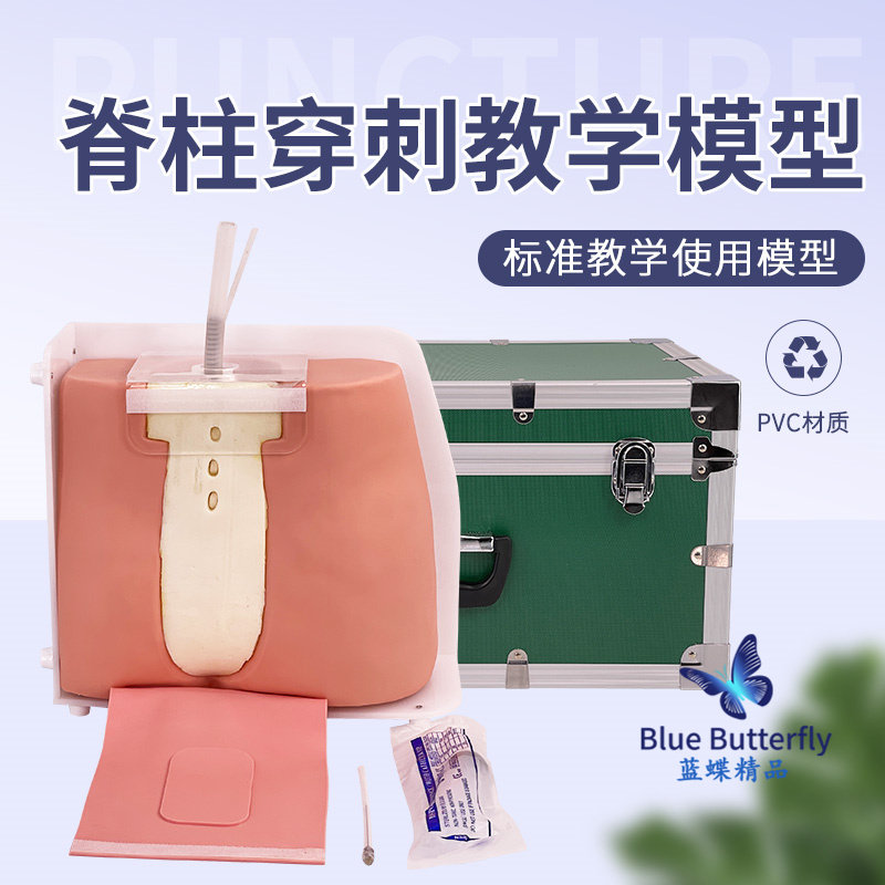 脊椎脊柱穿刺模型 腰椎穿t刺模型 腰麻训练医学用教学技能培训模