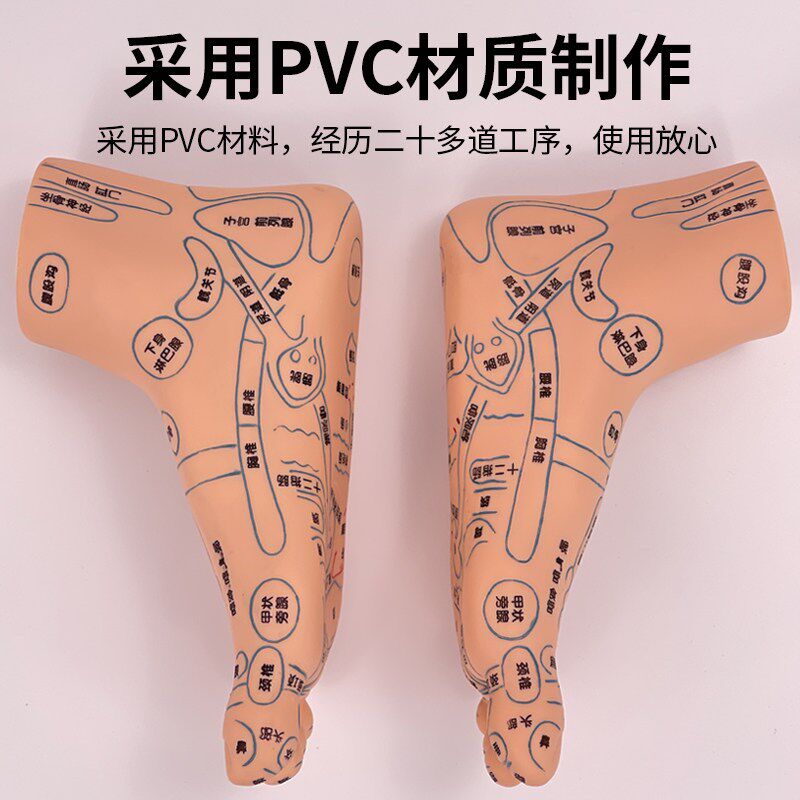 正品专利超清晰经络通足模足部y反射区模型足疗穴位模型按摩脚模