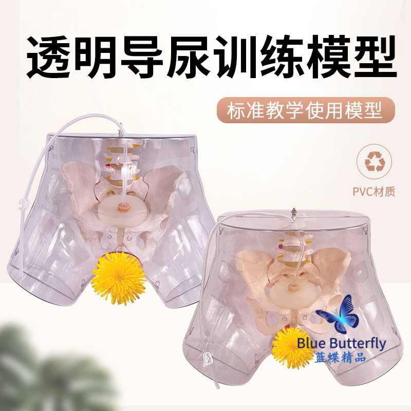 高级透明女性f导尿模型 导尿术技能操作训练模型 插尿管医学用模