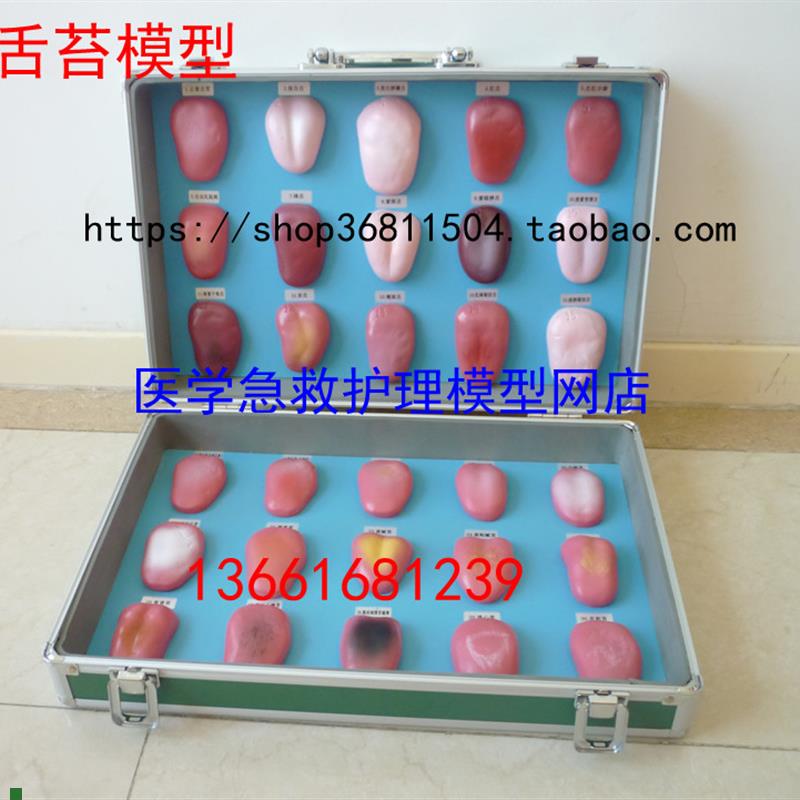 舌苔模型舌苔病i理模型舌像模型30件/套舌苔症状对比模型