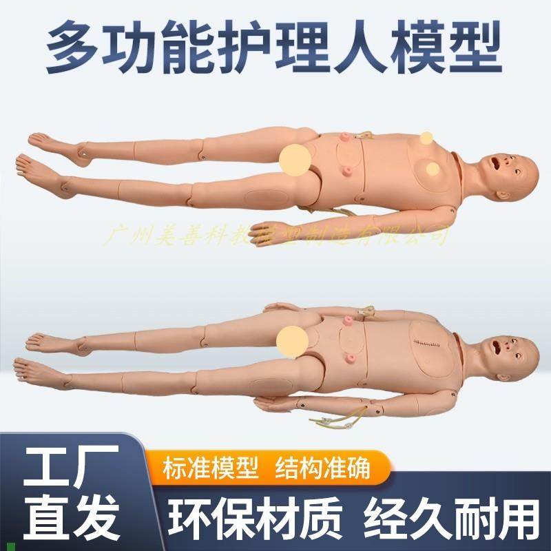 高级全功能护理人体模型男女导尿模型带内脏褥R疮口鼻插管吸痰洗