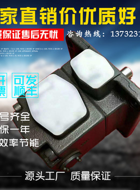 PV2R4-153-F-RAA-41日本油研叶片泵 PV2R4-237-F-RAA-40液压油泵