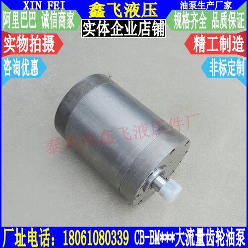 CB-BM3504大流量斜齿轮