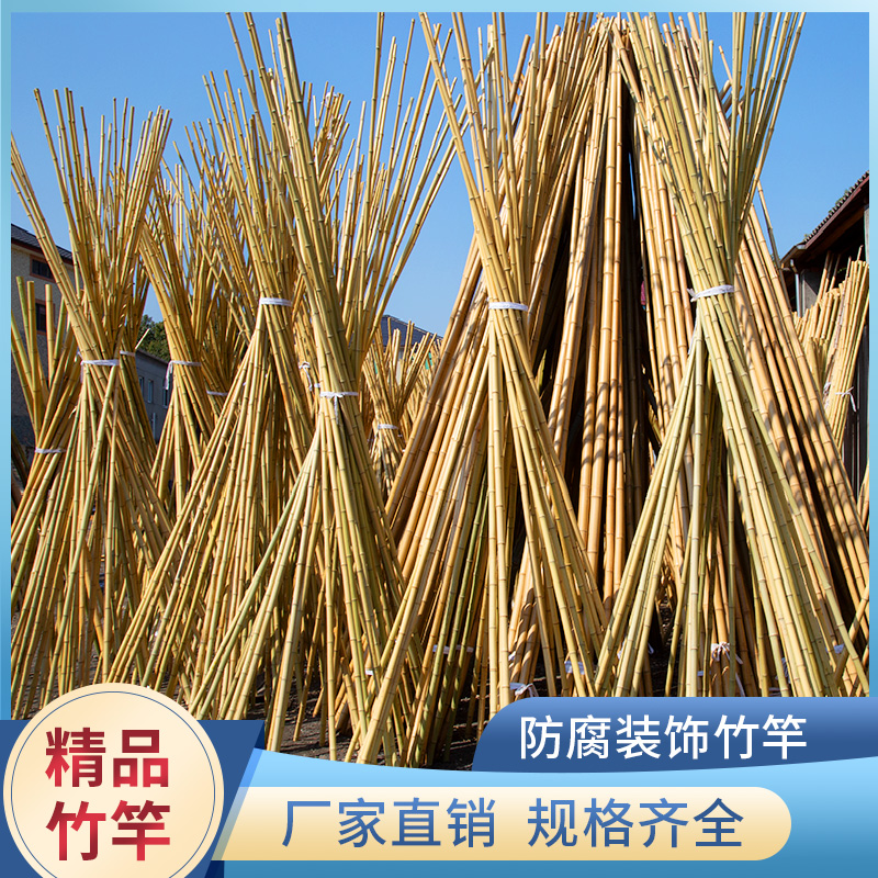 防腐毛竹竹子竹竿吊顶隔断挡墙围栏搭架竹杆旗杆黄竹装饰装修白竹