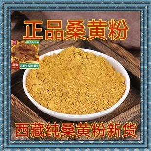 桑黄粉正宗西藏野生桑树桑黄茶桑黄粉新货金边桑黄粉现磨正品包邮