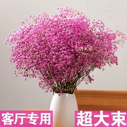 永生真花花束放客厅干花摆件摆设天然满天星带花瓶大束满天星干花