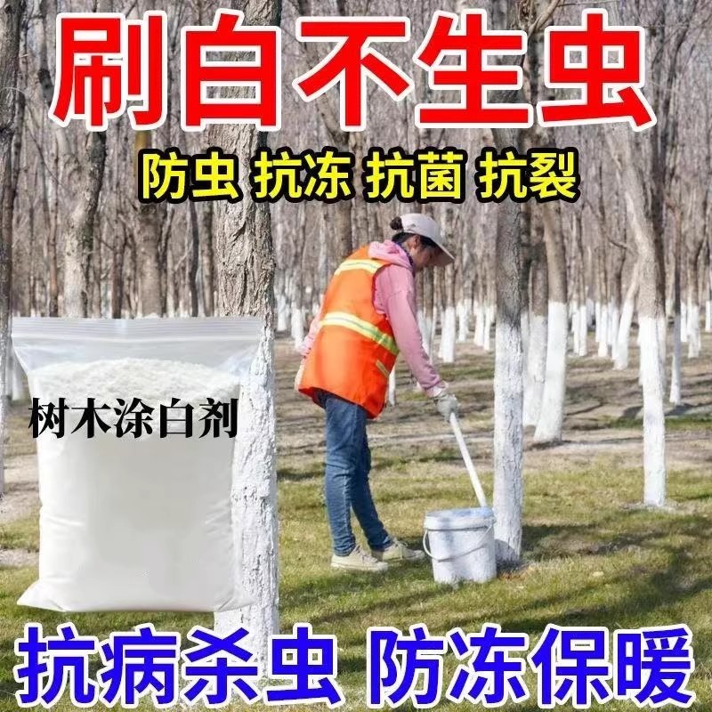 大树树干涂白剂防虫防冻