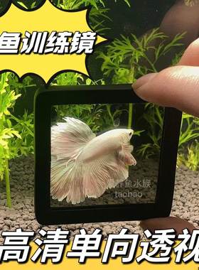 泰国斗鱼训练镜子玻璃单向透视缸外镜罗汉鱼雷龙鱼造景小型鱼缸