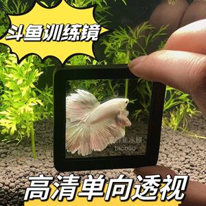 泰国斗鱼训练镜子玻璃单向透视缸外镜罗汉鱼雷龙鱼造景小型鱼缸