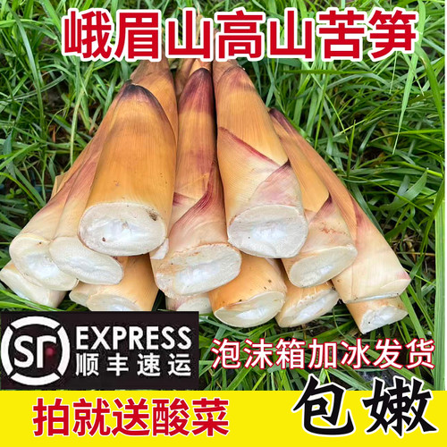 顺丰包邮现挖新鲜苦笋四川特产