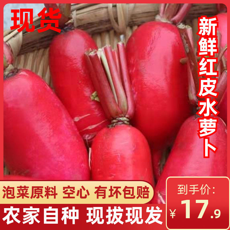 现挖红皮水萝卜白肉新鲜蔬菜泡菜原料当季蔬菜应季红萝卜包邮在类目 水产肉类/新鲜蔬果/熟食, 新鲜蔬菜/蔬菜制品, 新鲜蔬菜, 萝卜中 - 来自Buy2taobao.com提供专业的淘宝代购服务