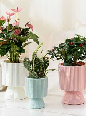 简约塑料高脚花盆室内发财树专用