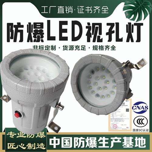 防爆视孔灯BSD96化学容器LED视孔灯12V24V36V220V反应釜视镜灯
