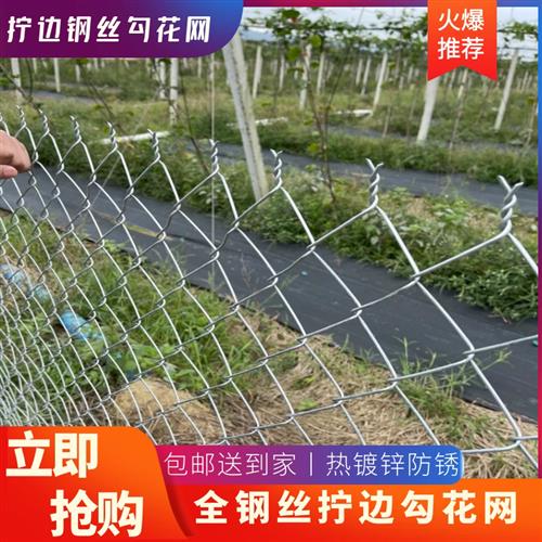 养殖钢丝网牛栏网勾花镀锌铁丝网围栏网护栏网养鸡防护栅栏网养狗