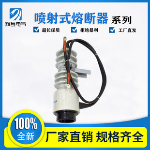 辉互10KV户外高压封闭型喷射式熔断器PRW-12/100A 电力令克开关