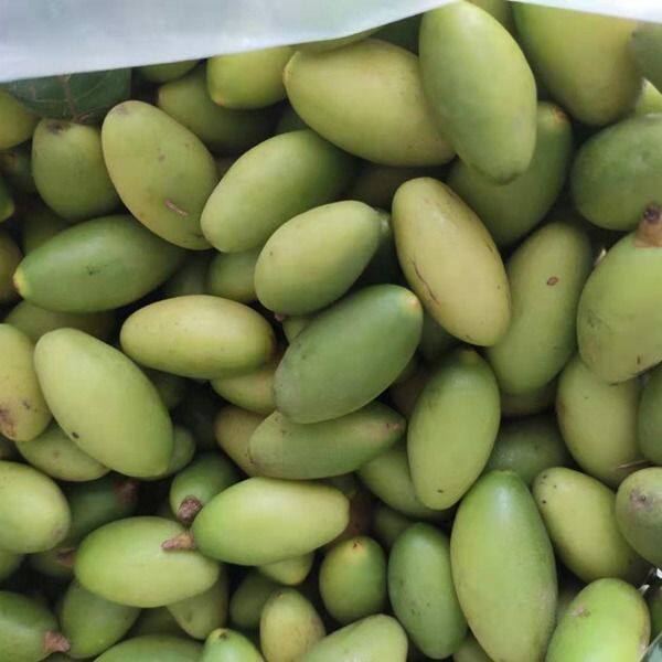 现摘现发潮汕产青橄榄泡酒煮汤果新鲜青果两头尖新鲜青橄榄果生吃