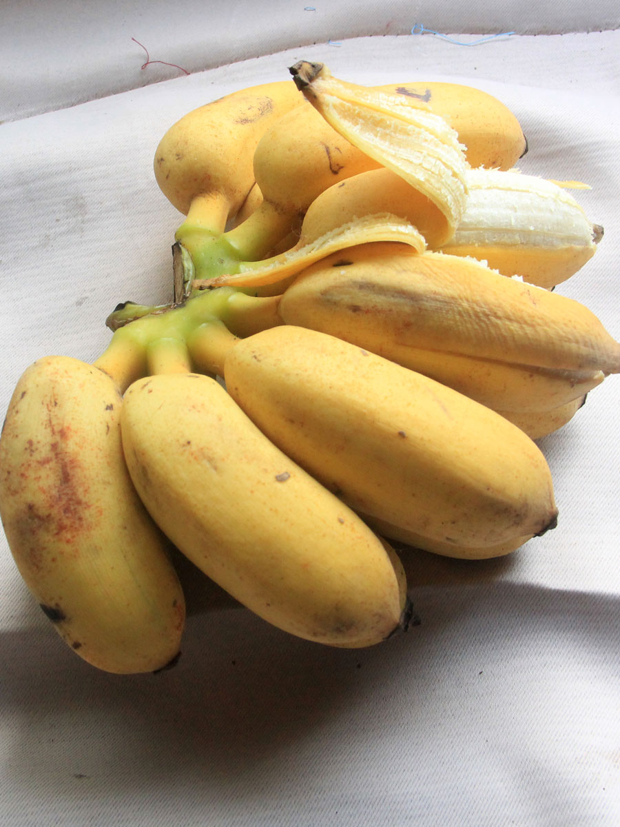 香蕉 新鲜小米蕉净果9斤芭蕉海南帝王蕉banana水果苹果粉蕉包邮.