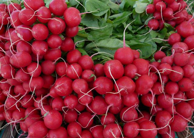 东北新鲜樱桃萝卜红皮迷你小水萝卜小红圆萝卜脆甜带箱3斤包邮.