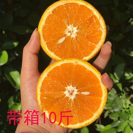 正宗云南冰糖橙子新鲜当季水果整箱青皮小果带箱10斤。