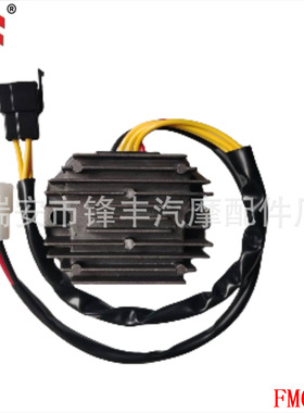 FM6587 适用于 SUZUKI SV 650 铃木摩托车 32800-08D10