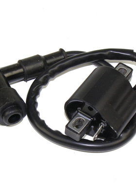 高品质摩托车发动机包 CG125 150 CG250线 点火包