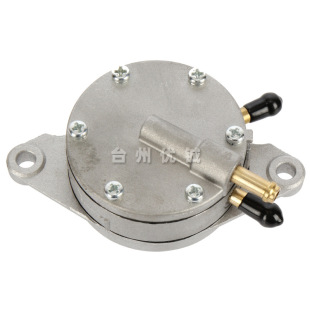 G11 G14 J38 1028 24410 00高尔夫球车燃油泵 跨境燃油泵G2