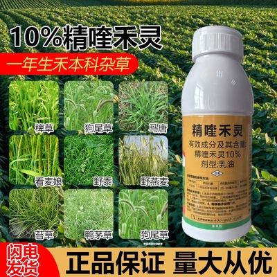 精喹禾灵大豆田除草烂根剂一年生禾本科杂草牛筋草狗尾草除草农药