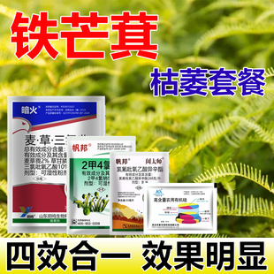 铁芒萁枯萎套餐见效快除杂草烂根除铁芒萁死根烂根农药正品除草剂