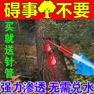 烂根除灌木专用药除草烂根剂一针强力死根烂根枯死药除草剂倒农药