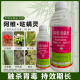 10.5%阿维菌素哒螨灵苹果红蜘蛛专用药杀螨阿维哒螨灵杀虫剂农药