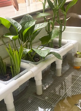 生态缸简约水培绿植造景定植篮支架乌龟缸固定鱼缸种植支撑架子