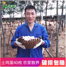 土鸡蛋农家散养农村野外正宗自养家鸡蛋快递新鲜草鸡蛋笨鸡蛋40枚