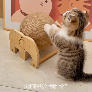 滚球猫抓板猫咪玩具自嗨耐磨耐抓静音不掉屑立式剑麻球猫爬架一体