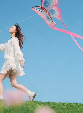 蝴蝶风筝大人微风易飞超长飘带