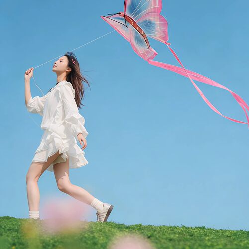 蝴蝶风筝大人微风易飞超长飘带